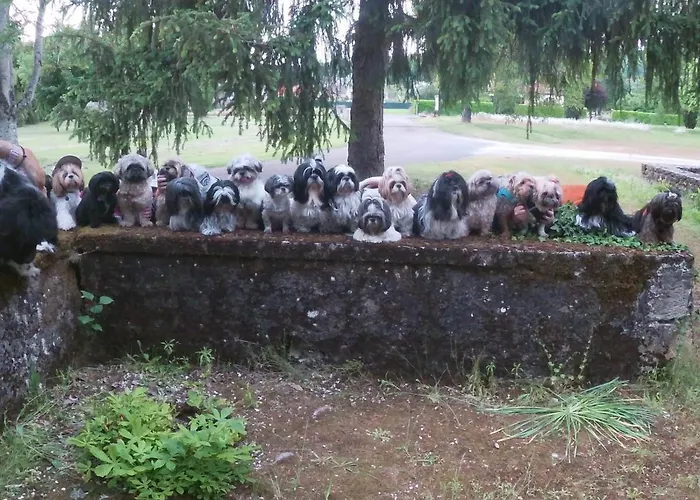 Du Parc Szálloda 3*