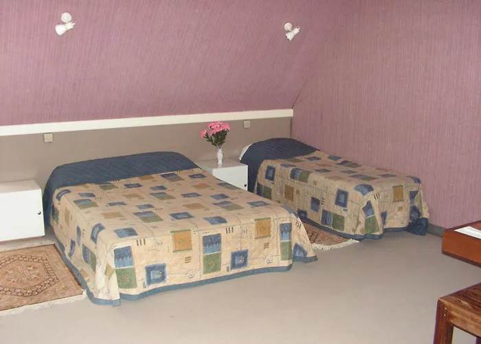 Du Parc Szálloda Montignac-Lascaux